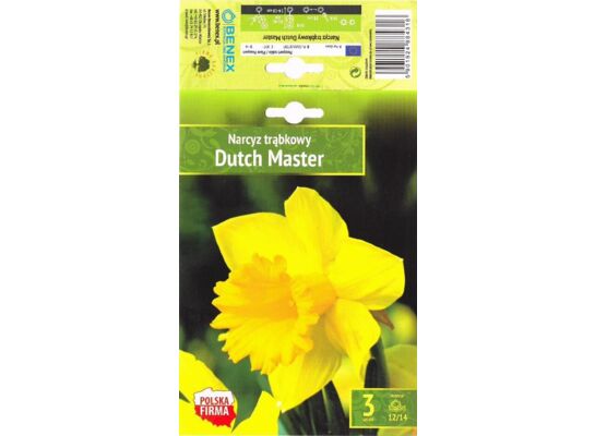 Kapers Narcissus - Narcyz Dutch Master 12/14 3 szt.
