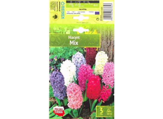Kapers Hyacinth - Hiacynt Mix 14/15 3 szt.