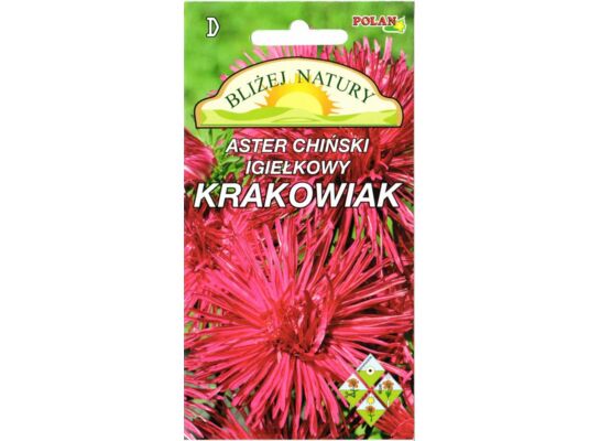 Aster igiełkowy krakowiak jasno różowy + polan