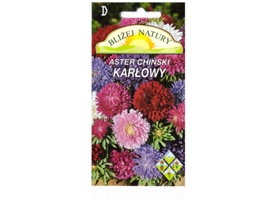 Aster karłowy zestaw kolorów + polan