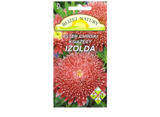 Aster książęcy izolda różowo-purpurowy + polan