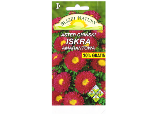 Aster półpełny iskra amarantowy + polan