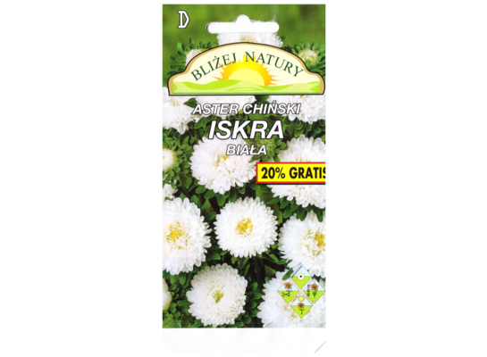 Aster półpełny iskra biały + polan
