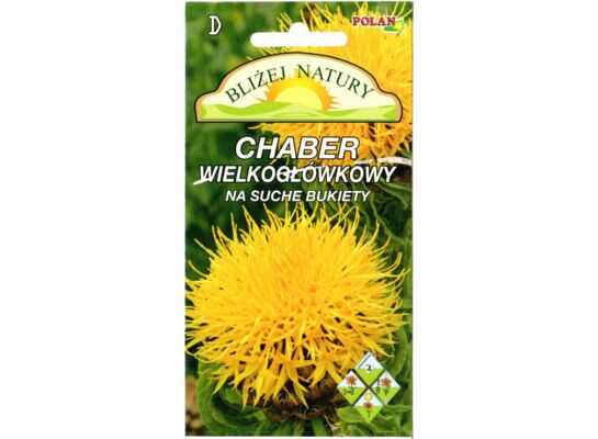 Chaber macrocephala żółty + polan
