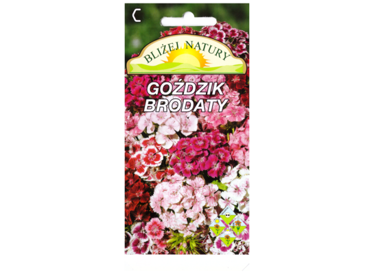 Goździk brodaty mieszany + polan