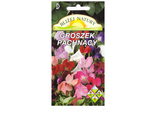 Groszek pachnący zestaw kolorów + polan