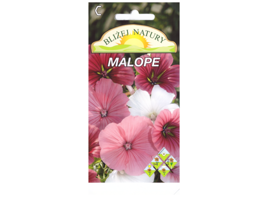 Malope mieszane + polan
