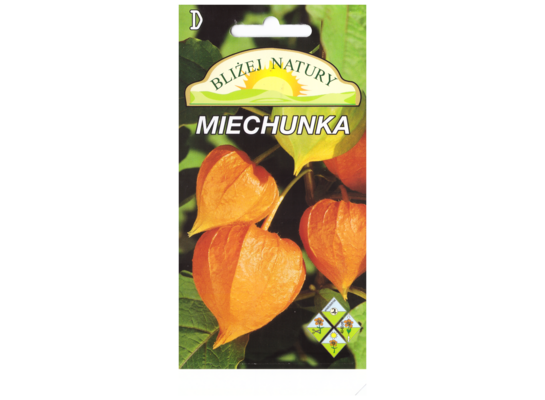 Miechunka pomarańczowa + polan