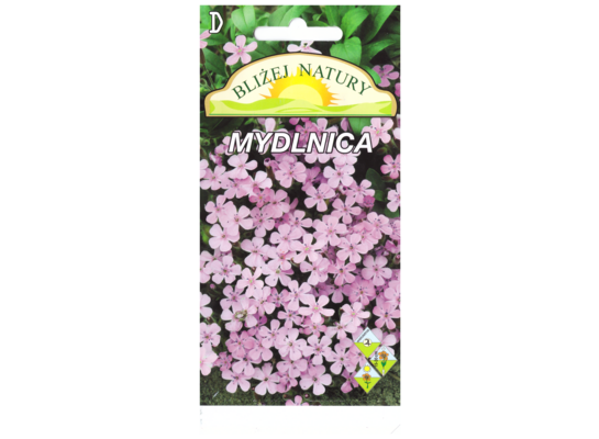 Mydlnica różowa + polan