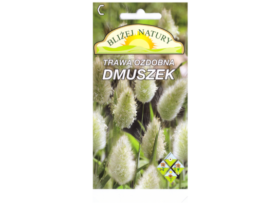 Trawa ozdobna dmuszek