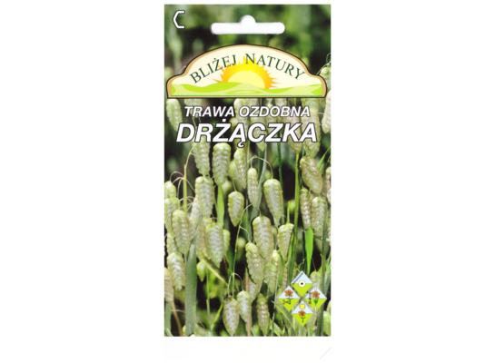 Trawa ozdobna drżaczka