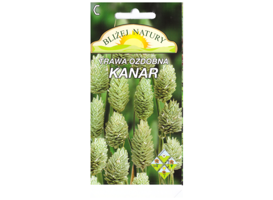Trawa ozdobna kanar