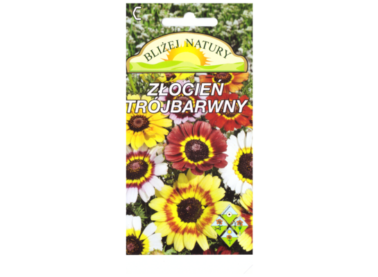 Złocień trójbarwny