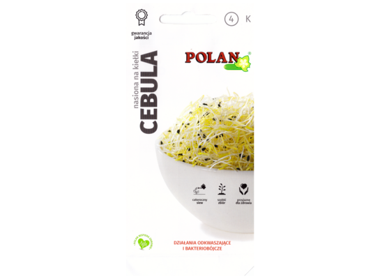 Kiełki cebula 2 sztuki POLAN