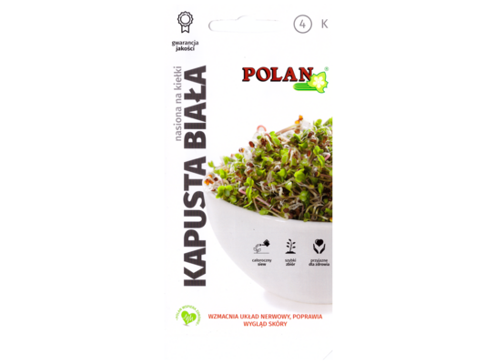 Kiełki kapusta biała 8 sztuk POLAN