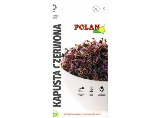Kiełki kapusta czerwona 5 sztuk POLAN