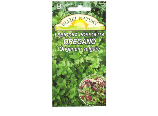 Lebiodka pos-oregano