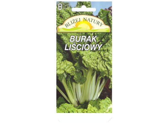 Burak liściowy luculus zielony 5 POLAN 
