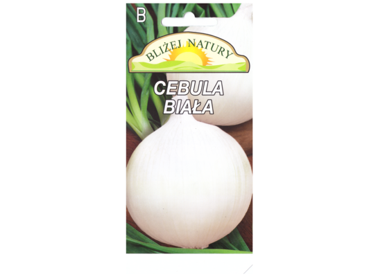 Cebula biała 2 POLAN