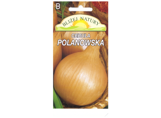 Cebula Polanowska żółta okrągła 2 POLAN