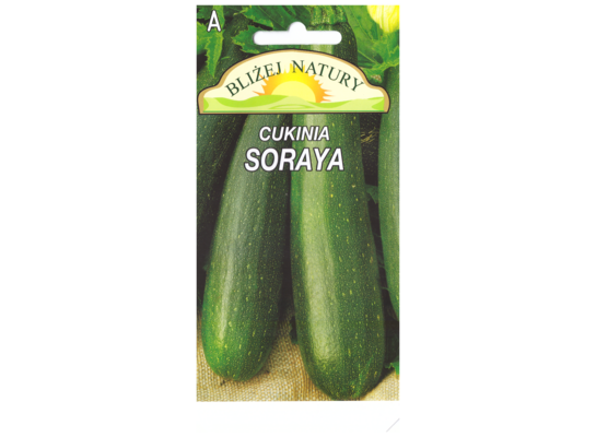 Dynia zwyczajna cukinia soraya zielona 2 POLAN
