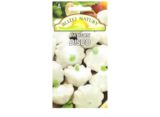 Dynia zwyczajna patison disco biały 2 POLAN