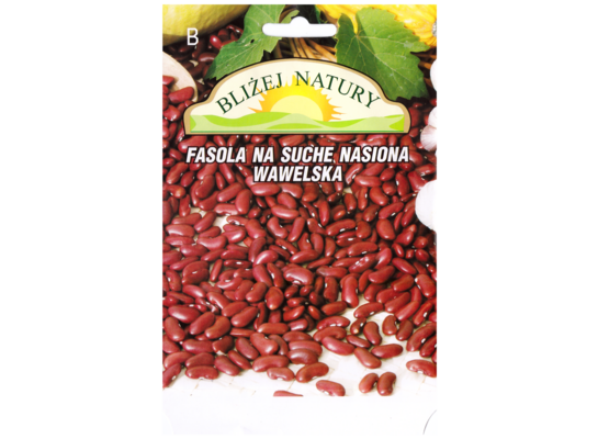 Fasola zwykła karłowa na suche nasiona wawelska bordowa 30 POLAN