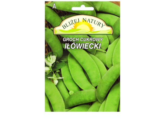 Groch siewny cukrowy iłówiecki 20 POLAN