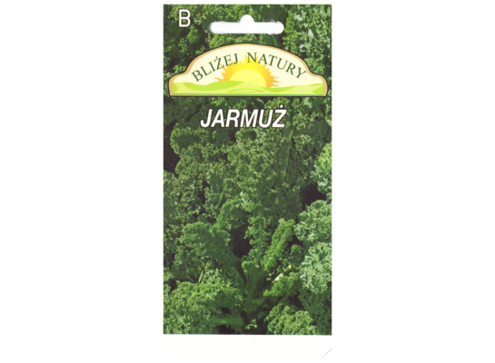 Jarmuż zielony 1 POLAN