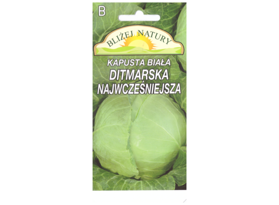Kapusta głowiasta biała ditmarska 1 POLAN