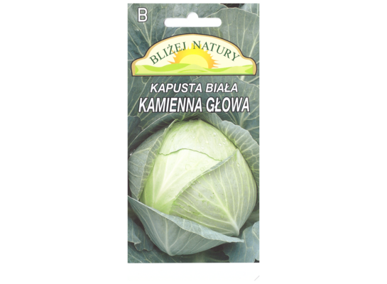 Kapusta głowiasta biała kamienna głowa późna 1 POLAN