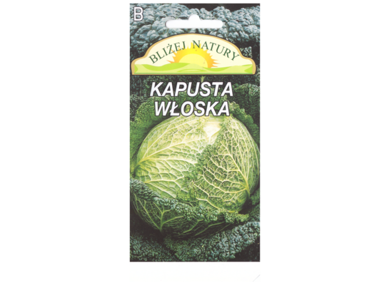 Kapusta włoska 1 POLAN