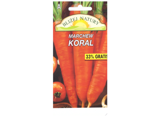 Marchew jadalna koral późna 4 POLAN