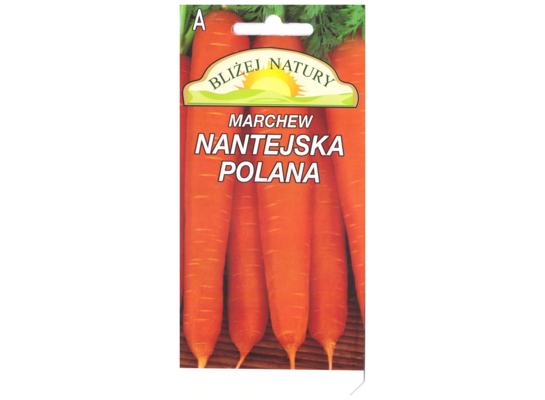 Marchew jadalna nantejska Polana średniowczesna 3 POLAN