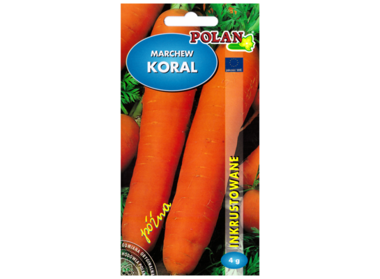 Marchew jadalna koral późna inkrust 4 POLAN