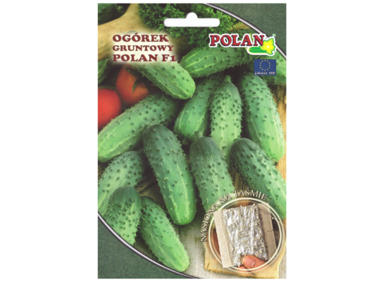 Ogórek konserwowy POLAN mieszaniec nawóz taśma 6 m POLAN