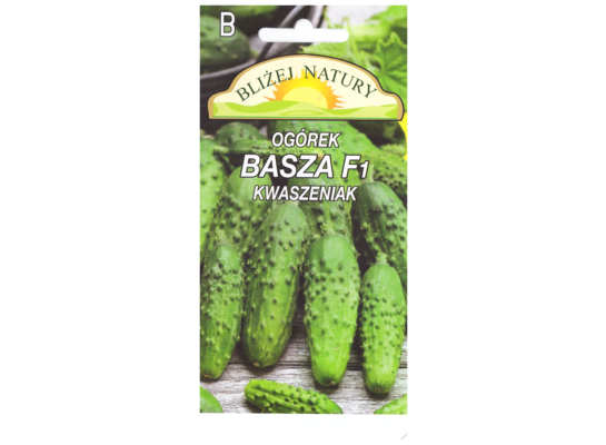 Ogórek konserwowy basza mieszaniec 2 POLAN