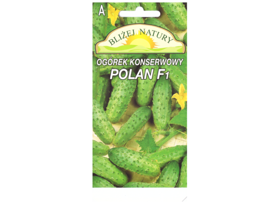 Ogórek konserwowy POLAN mieszaniec POLAN