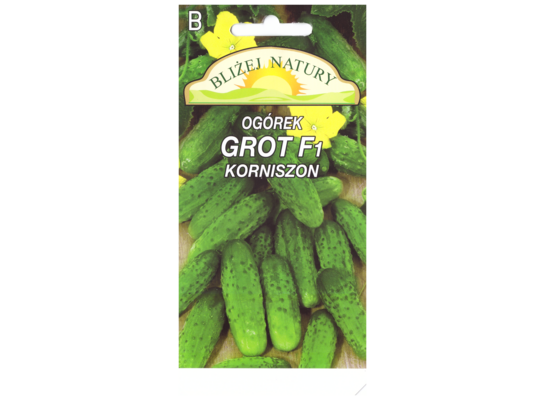 Ogórek korniszon grot mieszaniec 2 POLAN
