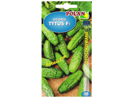 Ogórek korniszon tytus mieszaniec otoczka 50 POLAN