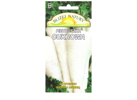 Pietruszka cukrowa wczesna 3 POLAN