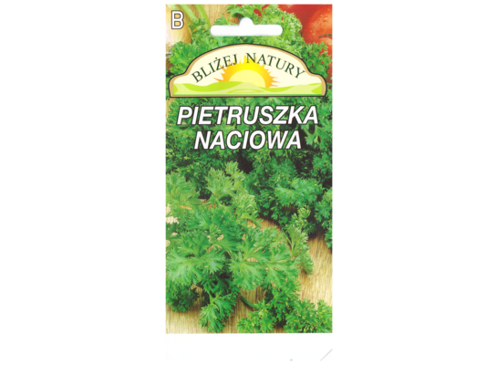 Pietruszka naciowa kędzierzawa 2 POLAN