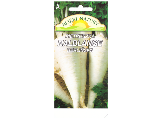 Pietruszka halblange późna 3 POLAN