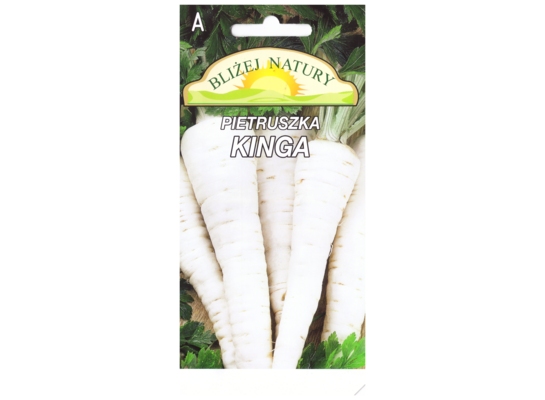 Pietruszka kinga późna 3 POLAN