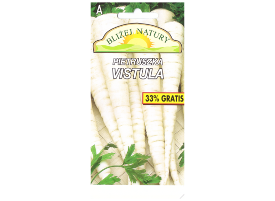 Pietruszka vistula średnio późna 4 POLAN