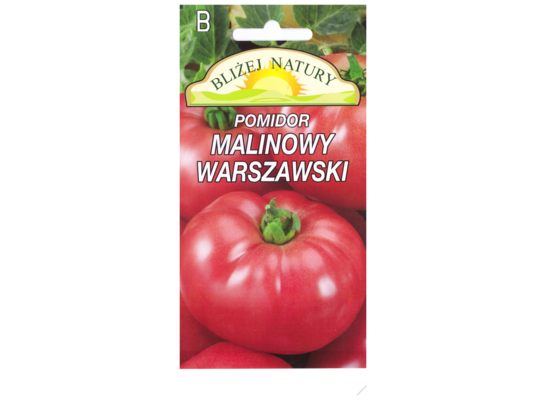 Pomidor gruntowy malinowy warszawski 0,3 POLAN