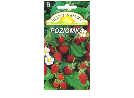 Poziomka rugia czerwona 0,2 POLAN