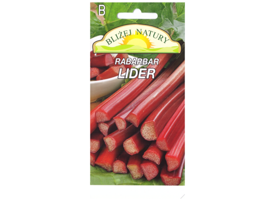 Rabarbar lider czerwony 1 POLAN