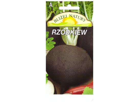 Rzodkiew czarna 5 POLAN