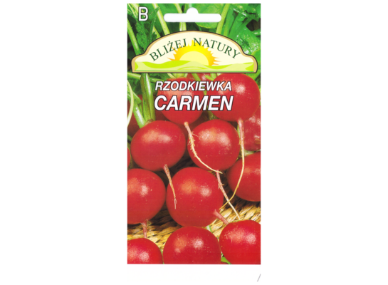Rzodkiewka okrągła carmen czerwona 5 POLAN